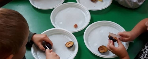 Odkrywamy krainę warzyw i owoców