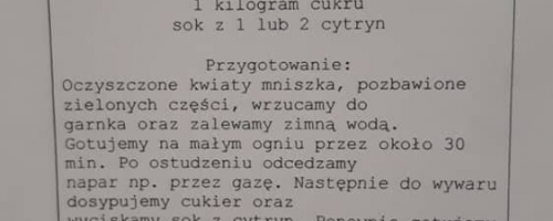 Przepis na potrawę z miodem 