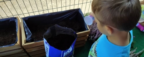 Nasz jesienny mini ogródek