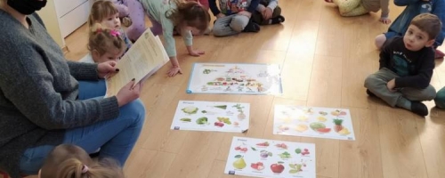 AKCJA KUBUSIOWI PRZYJACIELE NATURY