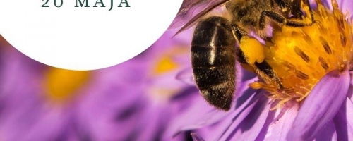 Dzień Pszczoły zabawa fotograficzna