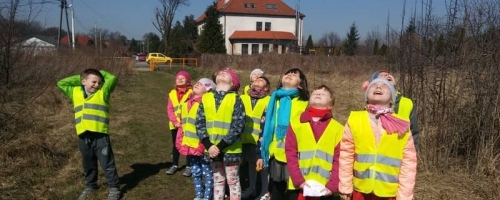 Znaleźliśmy wiosnę