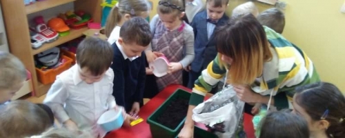 „Od nasiona do rośliny…”